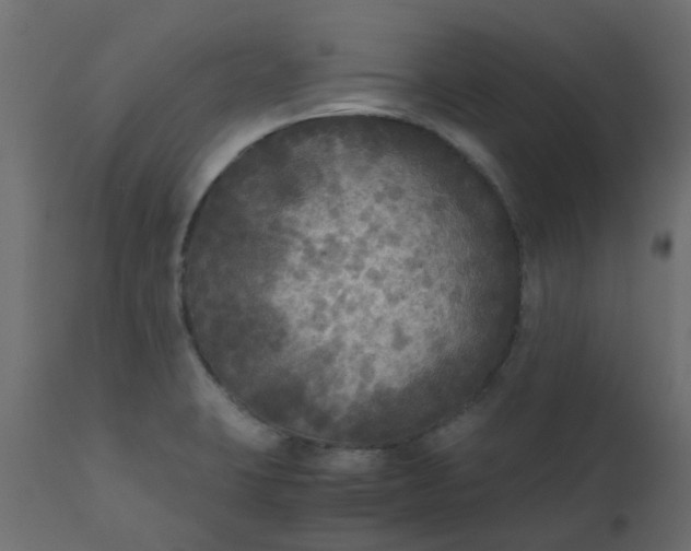 X0000110711423200906261421