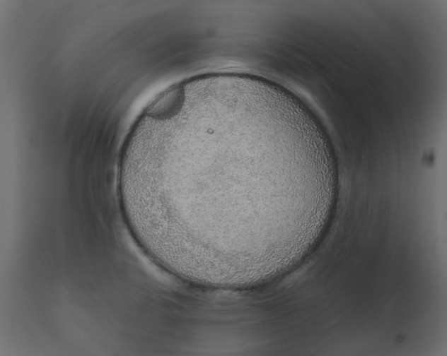 X0000110711424200906261421