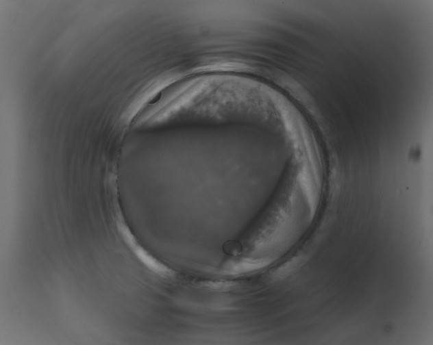 X0000110711425200906261421