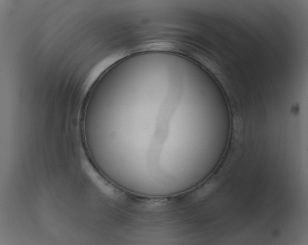 X0000110711426200906261421
