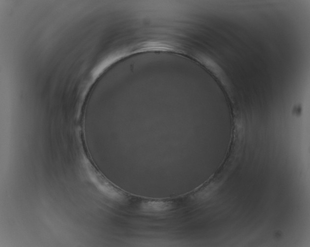 X0000110711427200906261421