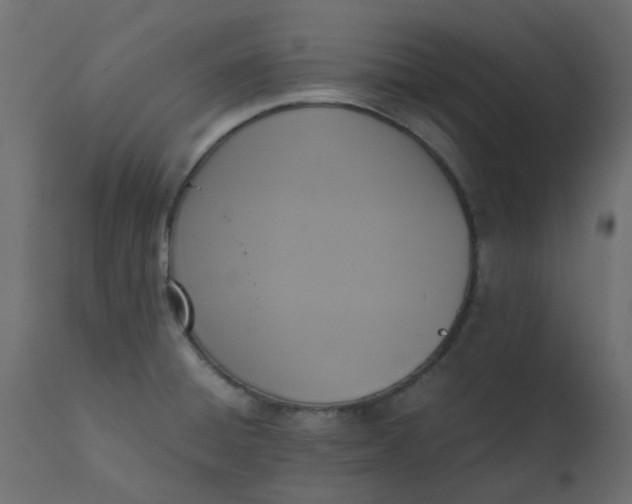 X0000110711428200906261421