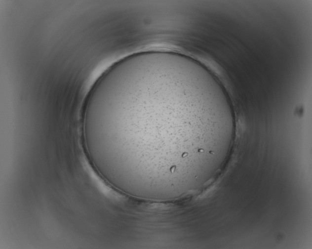 X0000110711430200906261421