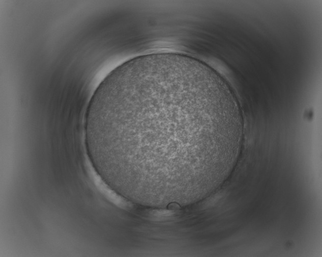 X0000110711431200906261421