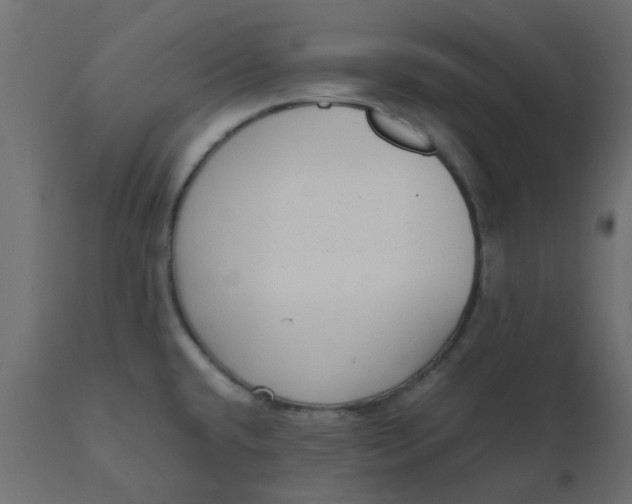 X0000110711432200906261421