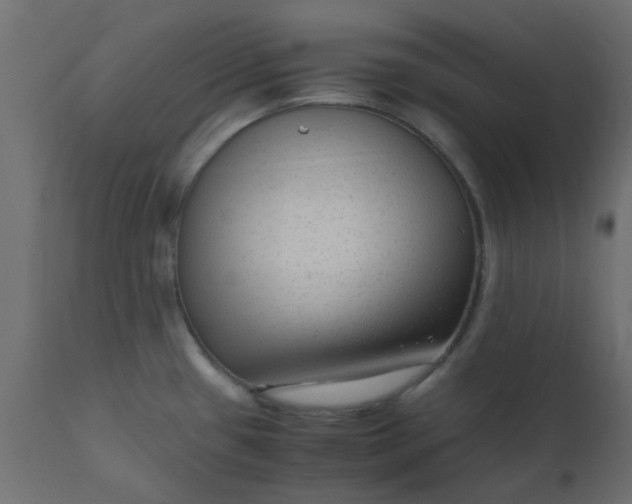 X0000110711433200906261421