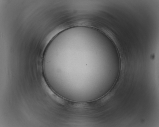 X0000110711434200906261421