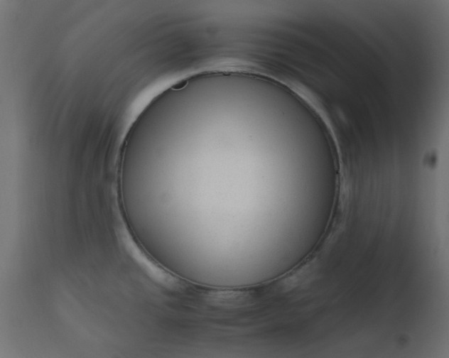 X0000110711437200906261421