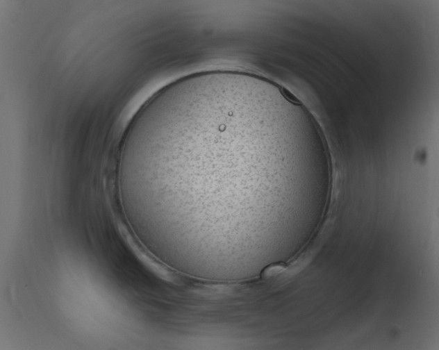 X0000110711438200906261421