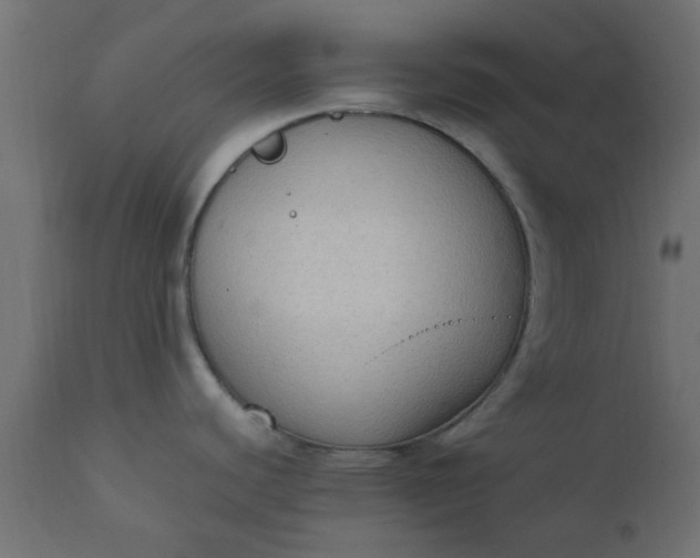 X0000110711440200906261421