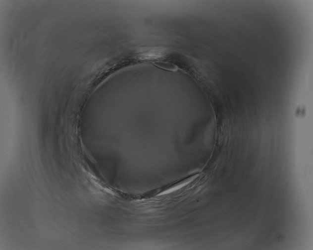 X0000110711441200906261420