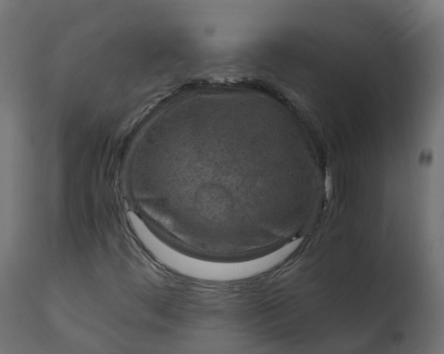 X0000110711444200906261420