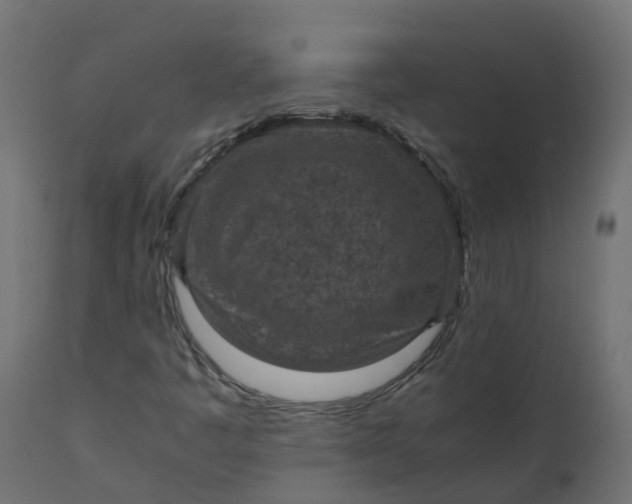 X0000110711445200906261420