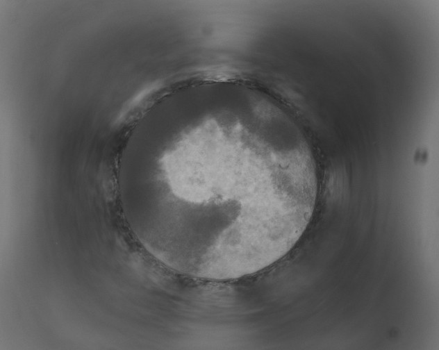 X0000110711446200906261420