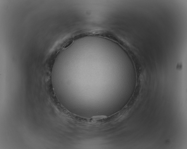 X0000110711447200906261420