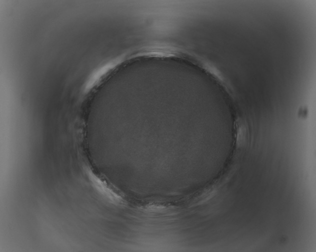 X0000110711448200906261420