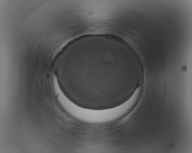 X0000110711449200906261420