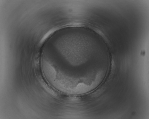 X0000110711450200906261420