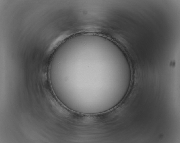 X0000110711451200906261420