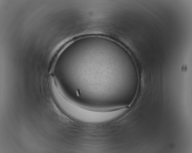 X0000110711452200906261420