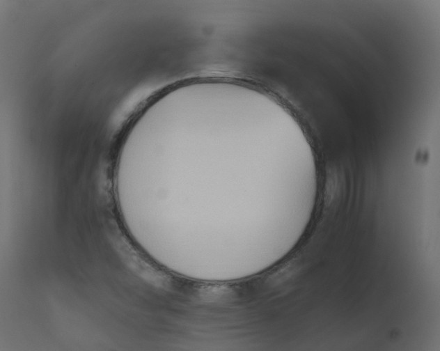 X0000110711454200906261420