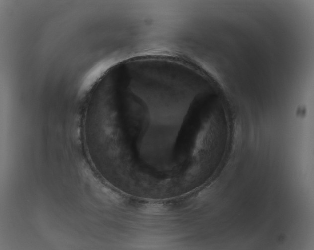 X0000110711455200906261420