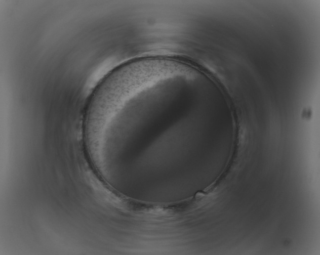 X0000110711459200906261420
