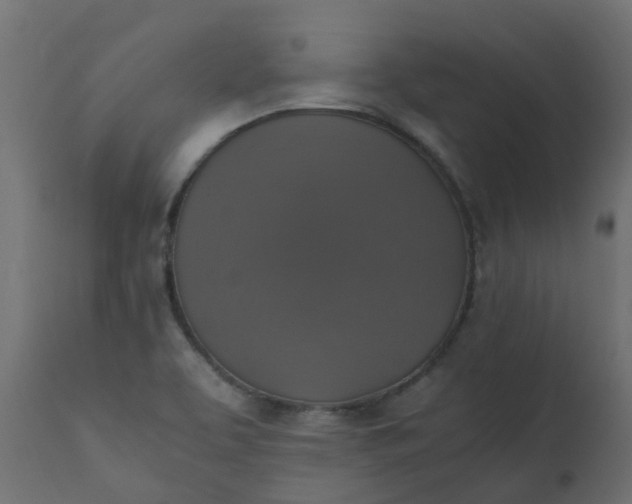 X0000110711463200906261420