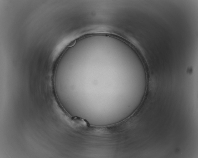 X0000110711464200906261420
