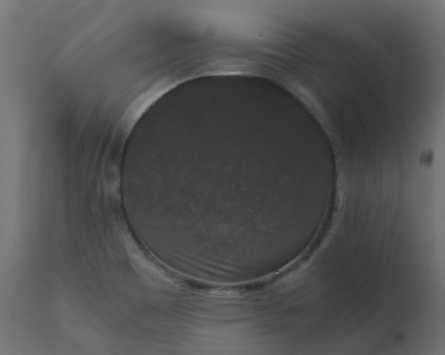 X0000110711465200906261420