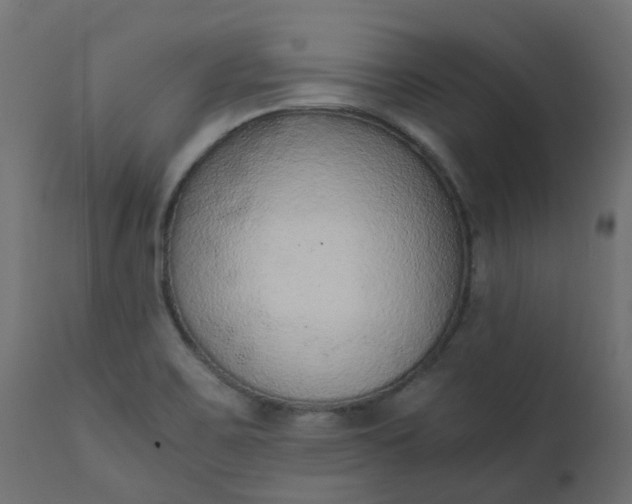 X0000110711467200906261420