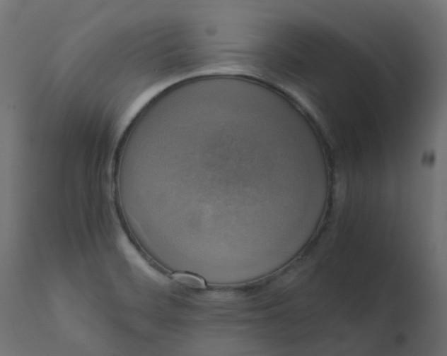 X0000110711468200906261420