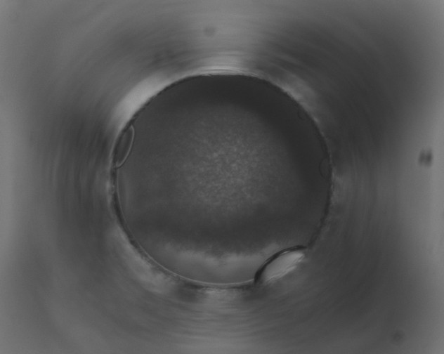 X0000110711469200906261420