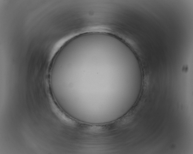 X0000110711470200906261420