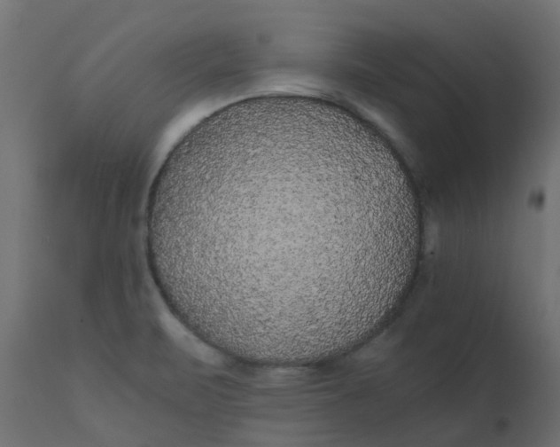 X0000110711471200906261420