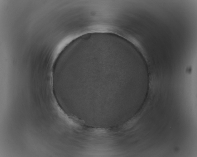 X0000110711472200906261420