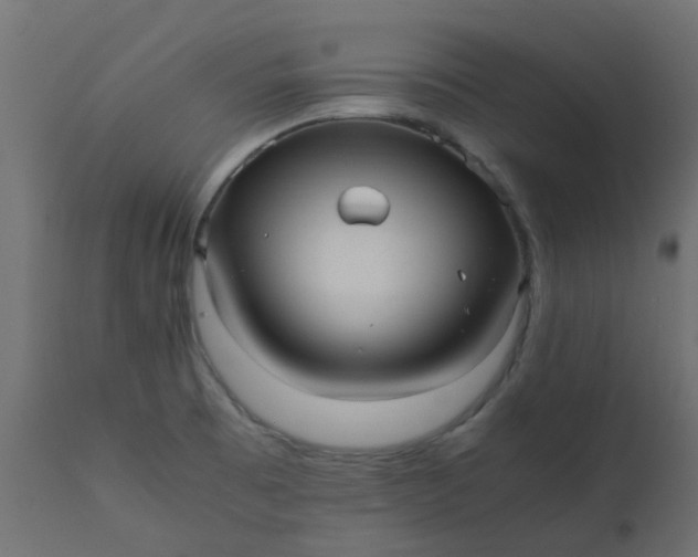 X0000110711473200906261420