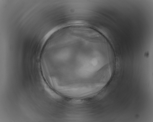 X0000110711474200906261420