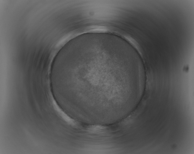 X0000110711475200906261420