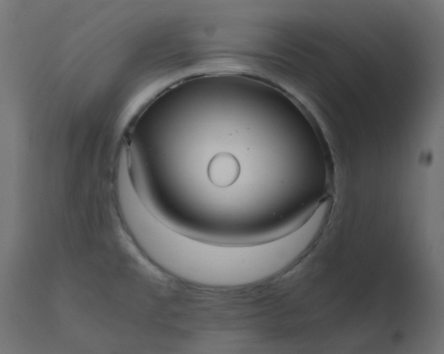 X0000110711477200906261420