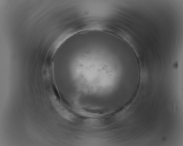 X0000110711481200906261420
