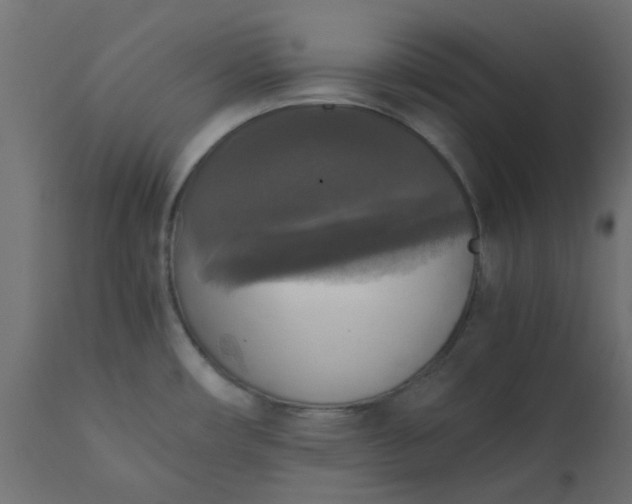 X0000110711482200906261420
