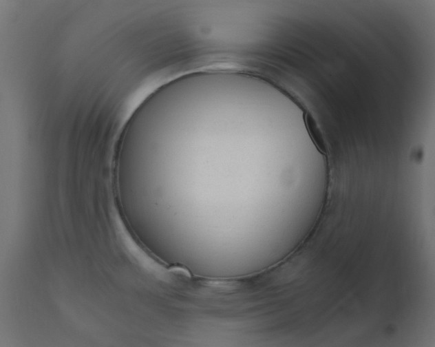 X0000110711483200906261420