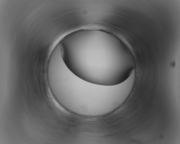 X0000110711484200906261420