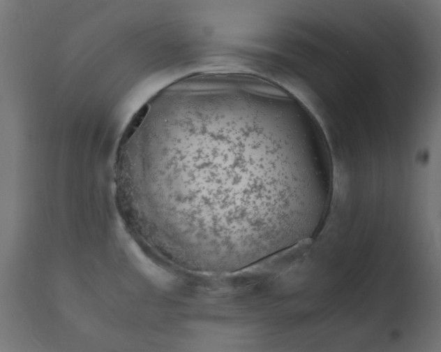 X0000110711485200906261420