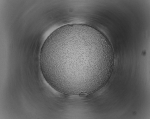 X0000110711487200906261420