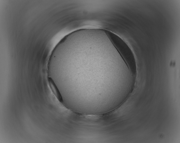 X0000110711488200906261419