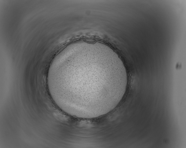 X0000110711489200906261419
