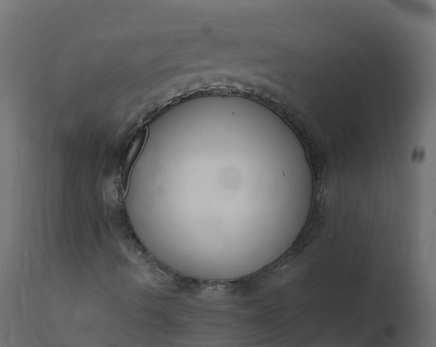 X0000110711490200906261419