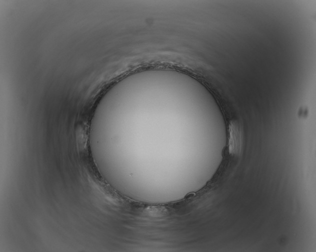 X0000110711491200906261419